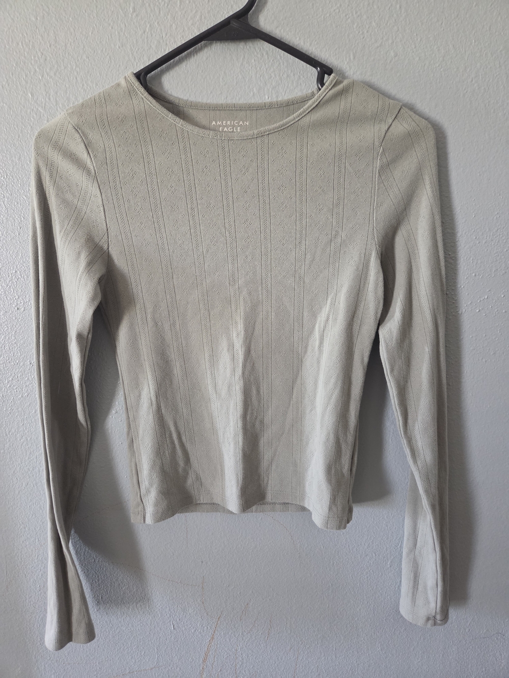 American Eagle Outfitters Light Green Long-Sleeve Crewneck Top